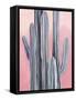 Desert Dawn I-Grace Popp-Framed Stretched Canvas