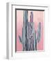 Desert Dawn II-Grace Popp-Framed Premium Giclee Print