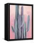 Desert Dawn II-Grace Popp-Framed Stretched Canvas