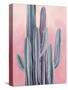 Desert Dawn II-Grace Popp-Stretched Canvas