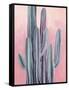 Desert Dawn II-Grace Popp-Framed Stretched Canvas