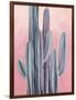 Desert Dawn II-Grace Popp-Framed Art Print