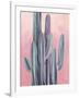 Desert Dawn II-Grace Popp-Framed Art Print