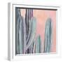 Desert Dawn III-Grace Popp-Framed Art Print