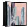 Desert Dawn III-Grace Popp-Framed Stretched Canvas