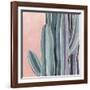 Desert Dawn IV-Grace Popp-Framed Art Print