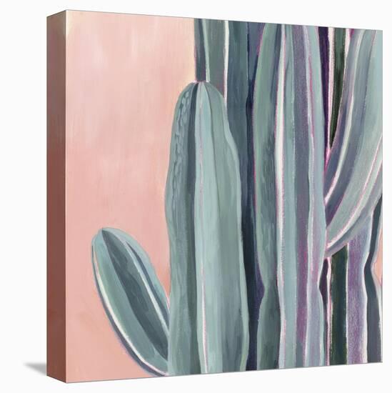 Desert Dawn IV-Grace Popp-Stretched Canvas