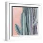 Desert Dawn IV-Grace Popp-Framed Art Print