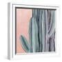 Desert Dawn IV-Grace Popp-Framed Art Print