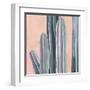 Desert Dawn VI-Grace Popp-Framed Art Print