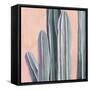 Desert Dawn VI-Grace Popp-Framed Stretched Canvas