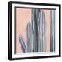 Desert Dawn VI-Grace Popp-Framed Art Print