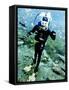 Desert Diving, Toyahvale, Texas-Lm Otero-Framed Stretched Canvas