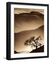 Desert Dreams II-null-Framed Art Print