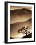 Desert Dreams II-null-Framed Art Print