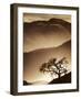 Desert Dreams II-null-Framed Art Print