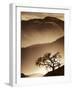 Desert Dreams II-null-Framed Art Print