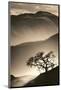 Desert Dreams II-null-Mounted Premium Giclee Print