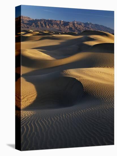 Desert Dunes, Death Valley National Park, California, USA-Adam Jones-Stretched Canvas