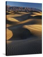 Desert Dunes, Death Valley National Park, California, USA-Adam Jones-Stretched Canvas