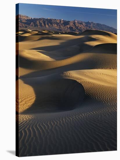 Desert Dunes, Death Valley National Park, California, USA-Adam Jones-Stretched Canvas