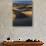 Desert Dunes, Death Valley National Park, California, USA-Adam Jones-Photographic Print displayed on a wall