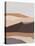 Desert Dunes III-Annie Warren-Stretched Canvas