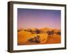 Desert, Dunes, Palms-Thonig-Framed Photographic Print