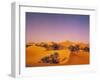 Desert, Dunes, Palms-Thonig-Framed Photographic Print