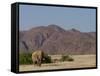 Desert-Dwelling Elephant, Loxodonta Africana Africana, Dry River, Kaokoland, Namibia, Africa-Thorsten Milse-Framed Stretched Canvas