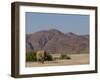 Desert-Dwelling Elephant, Loxodonta Africana Africana, Dry River, Kaokoland, Namibia, Africa-Thorsten Milse-Framed Photographic Print