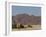 Desert-Dwelling Elephant, Loxodonta Africana Africana, Dry River, Kaokoland, Namibia, Africa-Thorsten Milse-Framed Photographic Print