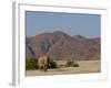 Desert-Dwelling Elephant, Loxodonta Africana Africana, Dry River, Kaokoland, Namibia, Africa-Thorsten Milse-Framed Photographic Print