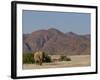 Desert-Dwelling Elephant, Loxodonta Africana Africana, Dry River, Kaokoland, Namibia, Africa-Thorsten Milse-Framed Photographic Print