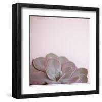 Desert Flora 2-Susannah Tucker-Framed Art Print