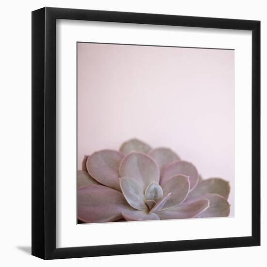 Desert Flora 2-Susannah Tucker-Framed Art Print