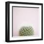 Desert Flora 3-Susannah Tucker-Framed Art Print