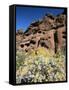 Desert Flora Beneath Camelback Mountain, Echo Canyon Recreation Area, Paradise Valley, Arizona-Ruth Tomlinson-Framed Stretched Canvas