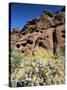 Desert Flora Beneath Camelback Mountain, Echo Canyon Recreation Area, Paradise Valley, Arizona-Ruth Tomlinson-Stretched Canvas