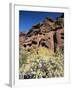 Desert Flora Beneath Camelback Mountain, Echo Canyon Recreation Area, Paradise Valley, Arizona-Ruth Tomlinson-Framed Photographic Print