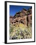Desert Flora Beneath Camelback Mountain, Echo Canyon Recreation Area, Paradise Valley, Arizona-Ruth Tomlinson-Framed Photographic Print