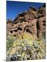 Desert Flora Beneath Camelback Mountain, Echo Canyon Recreation Area, Paradise Valley, Arizona-Ruth Tomlinson-Mounted Photographic Print