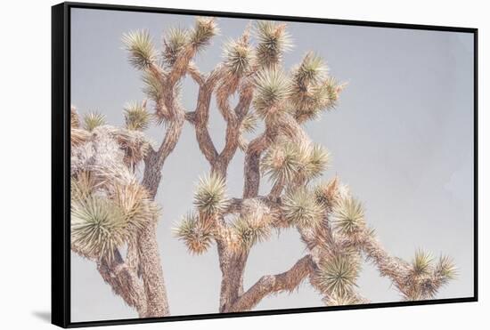 Desert Floral I-Elizabeth Urquhart-Framed Stretched Canvas