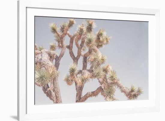 Desert Floral I-Elizabeth Urquhart-Framed Photographic Print