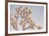 Desert Floral I-Elizabeth Urquhart-Framed Photographic Print