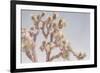 Desert Floral I-Elizabeth Urquhart-Framed Photographic Print