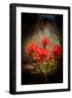 Desert Flower 1-LightBoxJournal-Framed Giclee Print