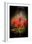 Desert Flower 1-LightBoxJournal-Framed Giclee Print