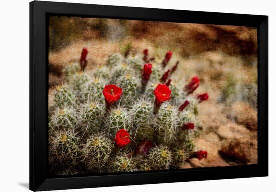 Desert Flower 3-LightBoxJournal-Framed Premium Giclee Print