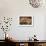 Desert Flower 3-LightBoxJournal-Framed Giclee Print displayed on a wall